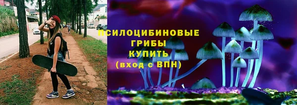mix Белокуриха