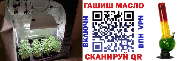 ТГК концентрат  как найти закладки  Пионерский 